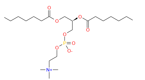 二肉豆蔻酰磷脂酰胆碱(DMPC)