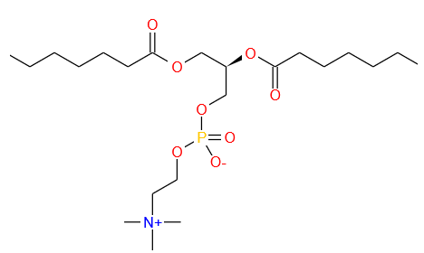 二棕榈酰磷脂酰胆碱(DPPC)